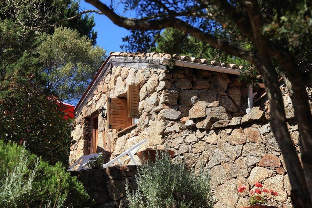 Residence Les Oliviers Porto-Vecchio  Extérieur photo