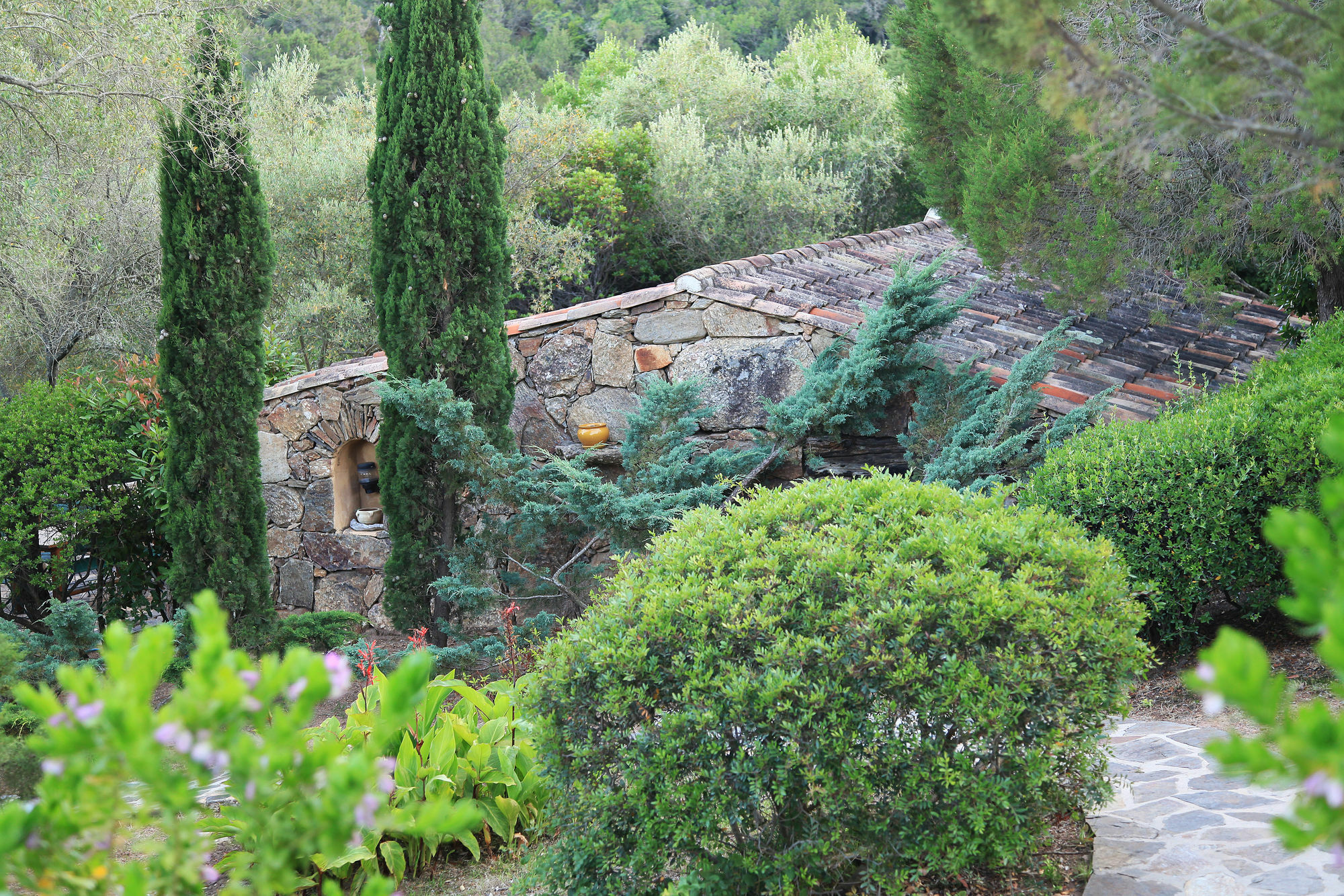 Residence Les Oliviers Porto-Vecchio  Extérieur photo